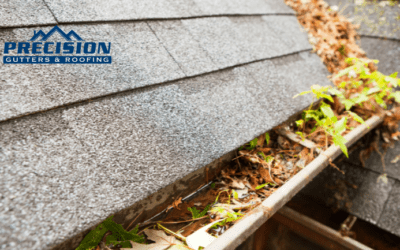 Gutter Cleaning Near Me: Get Your Gutters Cleaned Quickly and Easily