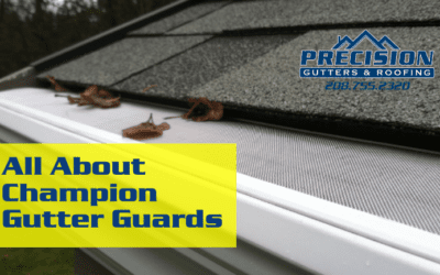 All About Champion Gutter Guards