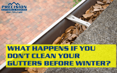 What Happens if You Don’t Clean Your Gutters Before Winter?
