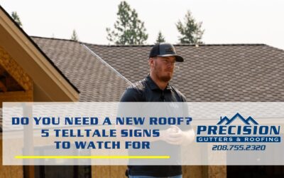 Do You Need a New Roof? 5 Telltale Signs to Watch For