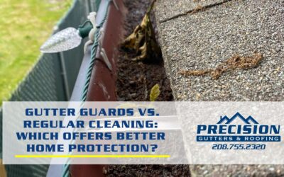 Gutter Guards vs. Regular Cleaning: Which Offers Better Home Protection?