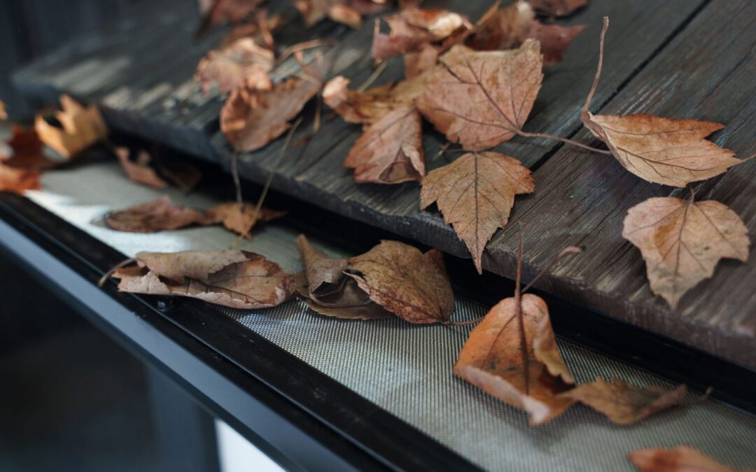 A Complete Guide to Gutter Guards- Types, Benefits, and Installation Tips