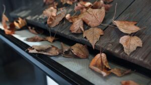 A Complete Guide to Gutter Guards- Types, Benefits, and Installation Tips