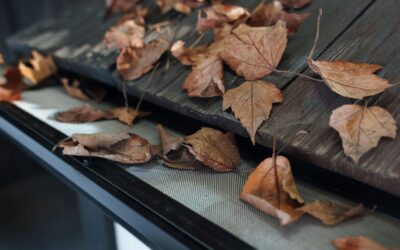 A Complete Guide to Gutter Guards: Types, Benefits, and Installation Tips