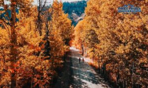 Our Favorite Fall Fun Activities in North Idaho