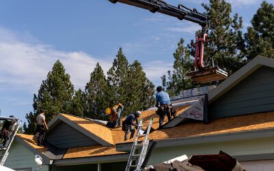 What to Expect During a Professional Roof Replacement Process