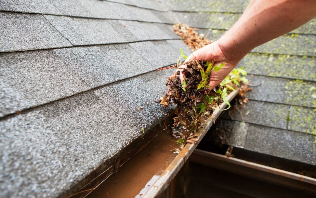 Why Gutter Cleaning Should Be Part of Your Fall Home Checklist