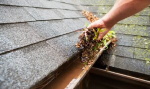 Why Gutter Cleaning Should Be Part of Your Fall Home Checklist