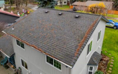 Roof Maintenance Routines That Extend Your Home’s Lifespan