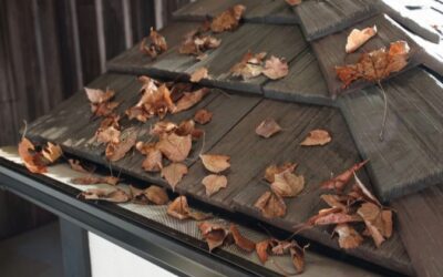 Seasonal Gutter Prep: Getting Ready for Fall Leaves